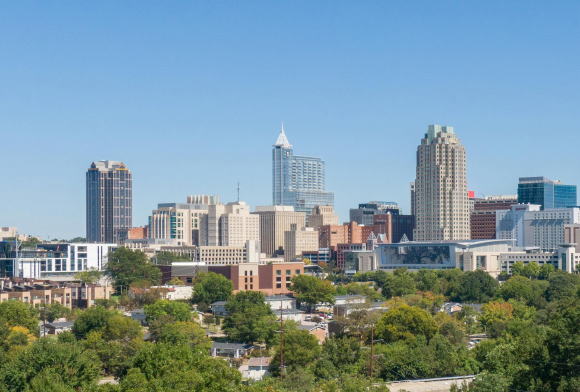 View of Raleigh