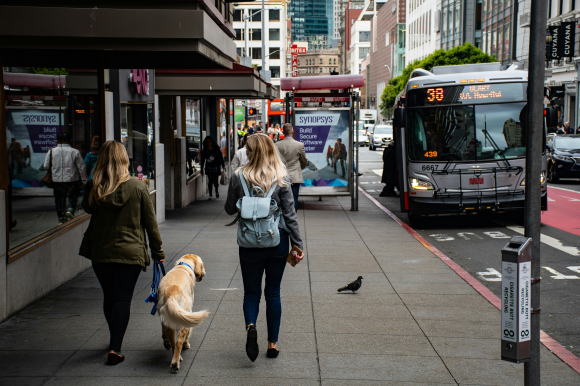 The vibrant streets of San Francisco